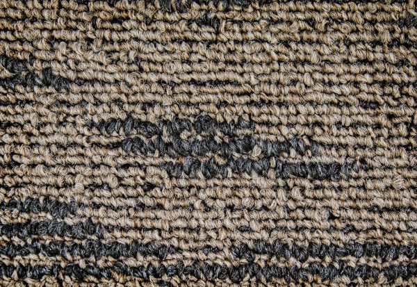 DSC_3810_Galaxy-3005