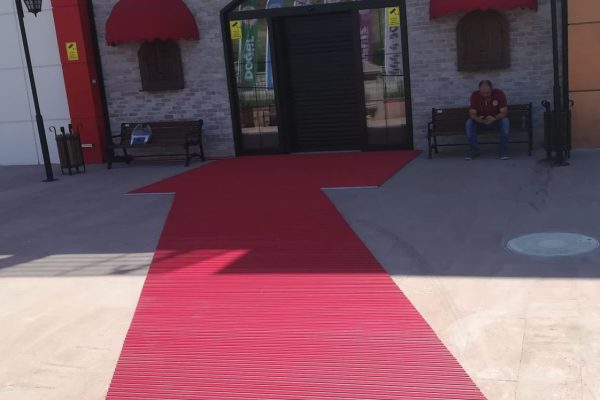 photo5834927618573579879